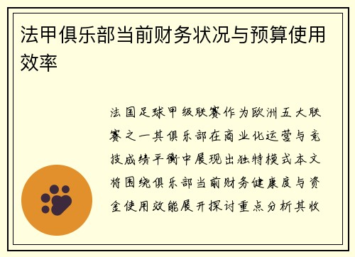 法甲俱乐部当前财务状况与预算使用效率