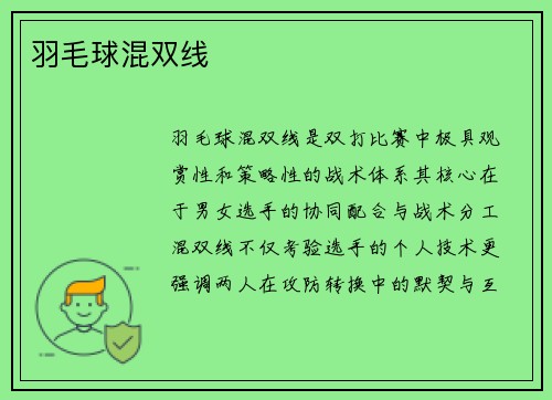 羽毛球混双线